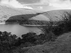 Meldon Reservoir on Dartmoor, showing growth of vegetation near water's edge
